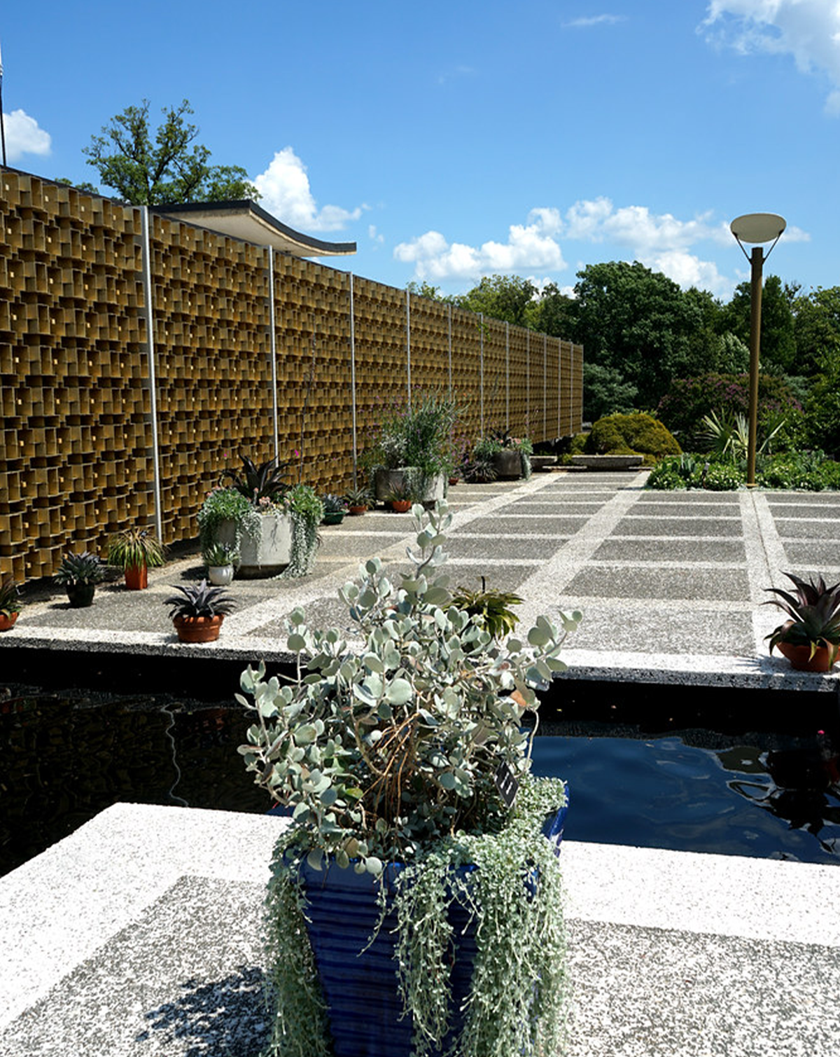 terrace1